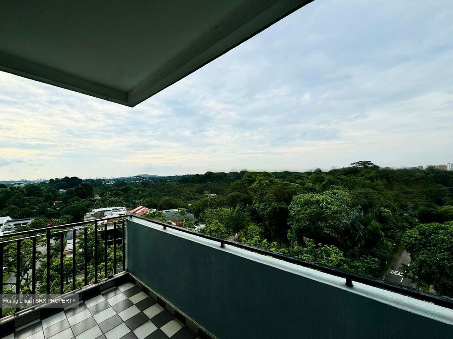 Goldhill Towers (D11), Apartment #484740081